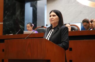 Proponen actualizar conceptos e incluir nuevas modalidades de migración en leyes estatales