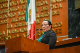 Pide diputada reforzamiento y rehabilitación del sistema de tablestacado en la entrada de San Jerónimo