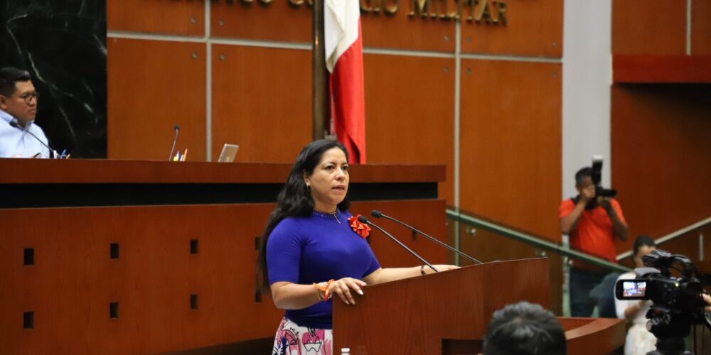 Propone diputada exhorto a CAPACH para reparación y desazolve de drenaje en barranca Alpuyeca