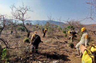 El incendio del cerro de Machohua presenta un 70 por ciento de control: SGIRPCGRO