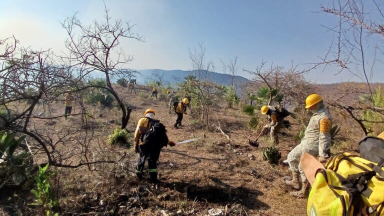 El incendio del cerro de Machohua presenta un 70 por ciento de control: SGIRPCGRO