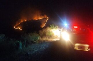 Atención inmediata a un reporte de incendio forestal en la colonia Misiones de Guadalupe