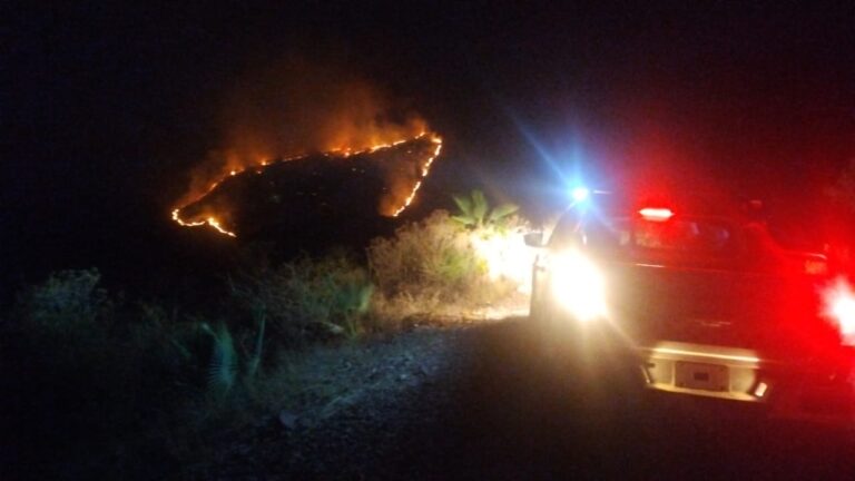 Atención inmediata a un reporte de incendio forestal en la colonia Misiones de Guadalupe