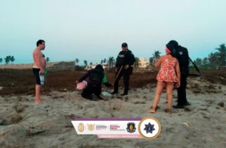 Policía Ecológica Estatal recupera 214 huevos de tortuga marina en Acapulco