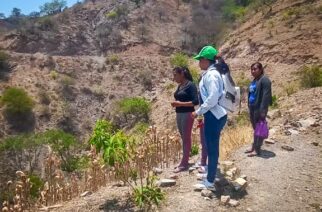 En Guerrero se promueve la agricultura sustentable sin quema para cuidar el suelo y el aire