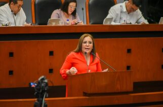 Propone diputada ley de fomento a la lectura y el libro del Estado de Guerrero