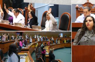 Exhorta el Congreso a la SICT a reparar carreteras y puentes de la Costa Grande, afectados por huracanes