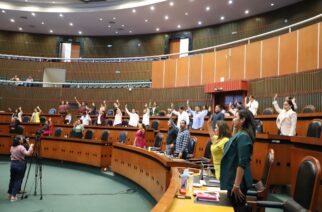 Aprueba el Congreso de Guerrero armonización jurídica con la constitución federal en materia de protección y cuidado animal