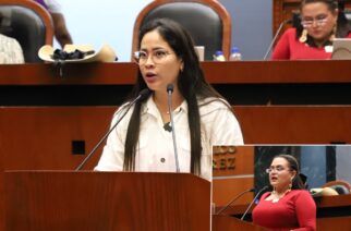 Presenta diputada reforma para garantizar identidad de género, expresión de género y orientación sexual en Guerrero