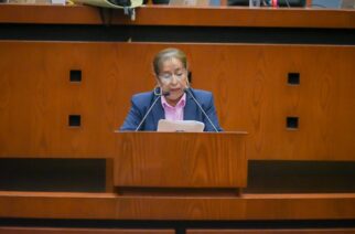 Propone diputada que la JUCOPO dictamine asuntos urgentes si comisiones y comités no se han integrado