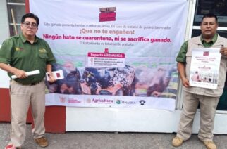 Refuerza SAGADEGRO campaña preventiva contra el gusano barrenador del ganado