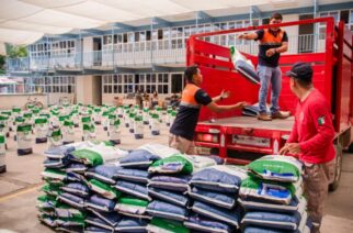 Sagadegro fortalece el campo guerrerense con la entrega de semilla mejorada de maíz