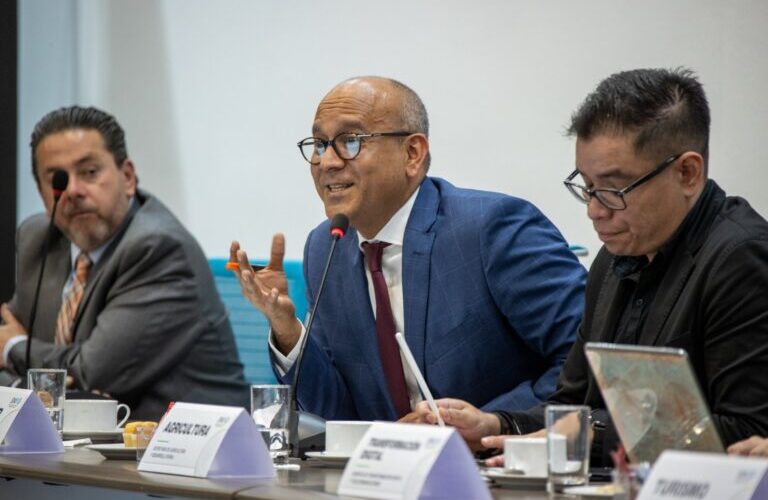 Participa René Vargas en la Primera Sesión Ordinaria del Consejo Consultivo Nacional del SNIEG como Coordinador de la Zona Centro-Sur