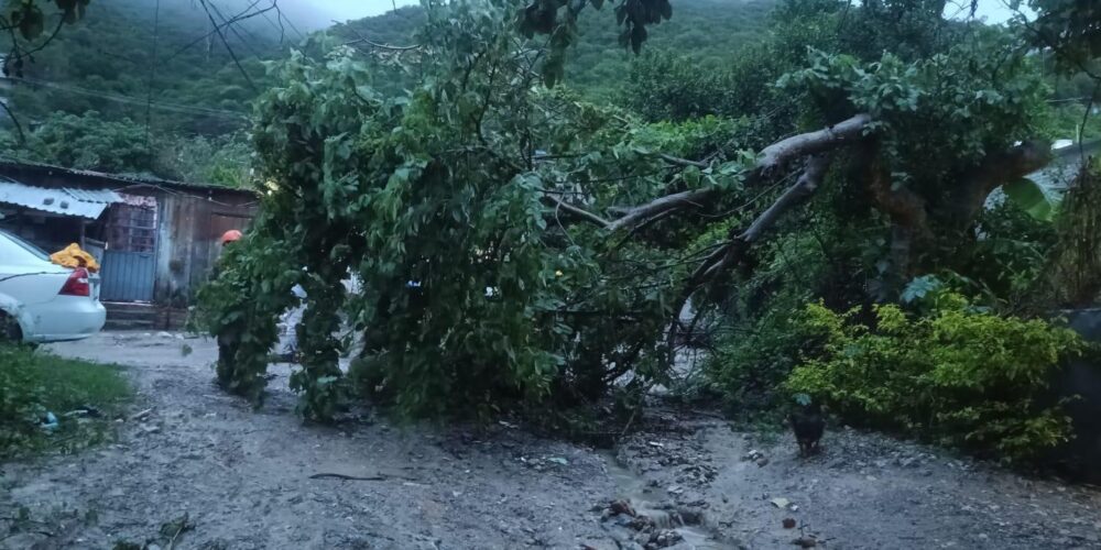 Gobierno municipal atiende afectaciones tras lluvias; presidente supervisa avances en encauzamiento del Huacapa