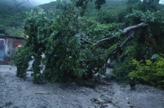 Gobierno municipal atiende afectaciones tras lluvias; presidente supervisa avances en encauzamiento del Huacapa