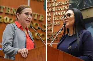 Analizan exhortos a dependencias para frenar llegada del gusano barrenador a Guerrero