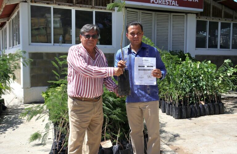 Gobierno de Guerrero fortalece trabajos de reforestación en la entidad