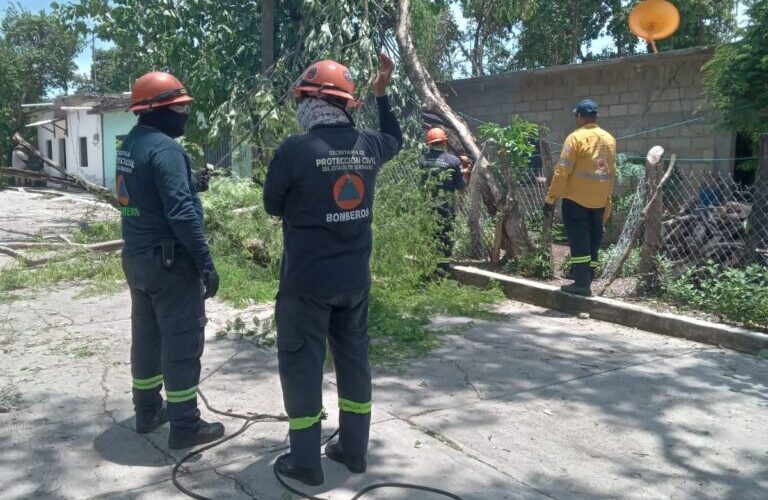 Gobierno del estado atiende afectaciones por lluvias y vientos fuertes en San Miguel Totolapan en la Tierra Caliente