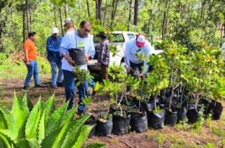 Impulsa PROPAEG la preservación del medio ambiente en la región Centro de Guerrero
