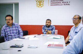 Un éxito el Programa de Transferencia de Embriones en Guerrero: SAGADEGRO