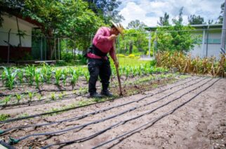 Sagadegro promueve huertos de traspatio como modelo de autosuficiencia