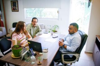 Refuerza SAGADEGRO acciones preventivas contra el gusano barrenador