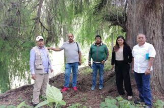 Refuerza el gobierno estatal acciones ambientales en Ixcateopan