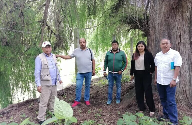 Refuerza el gobierno estatal acciones ambientales en Ixcateopan
