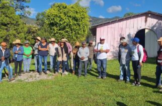 Reforesta el gobierno estatal la zona del Calvario en Chilpancingo