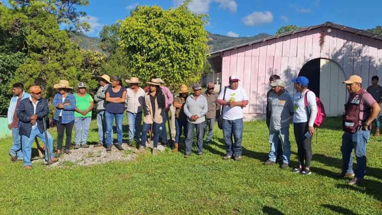 Reforesta el gobierno estatal la zona del Calvario en Chilpancingo