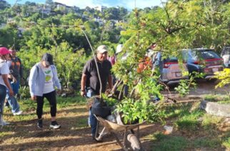 Impulsa Gobierno de Guerrero jornada de reforestación en Chilpancingo