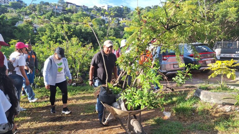 Impulsa Gobierno de Guerrero jornada de reforestación en Chilpancingo