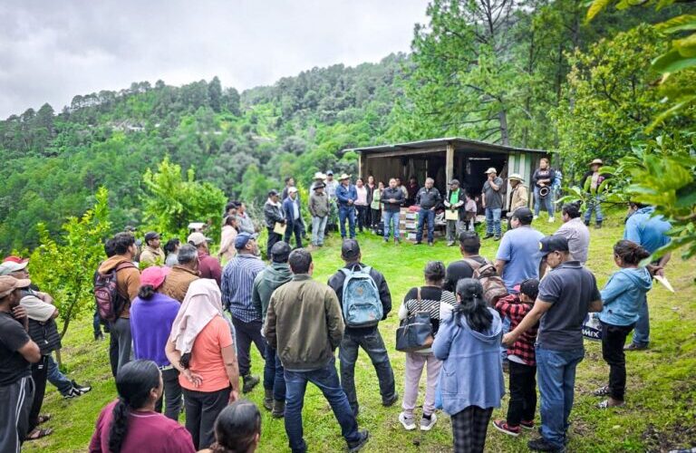 Entrega Sagadegro insumos para el control de plagas en cultivos de aguacate en Heliodoro Castillo