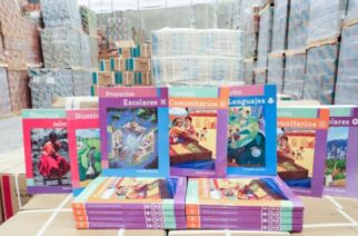 En Guerrero se tiene el 100 por ciento de los libros de textos gratuitos para el ciclo escolar 2025-2026: SEG