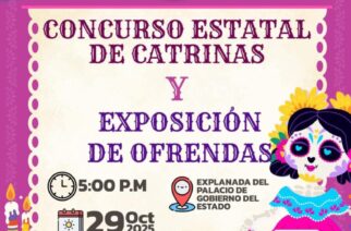 DIF Guerrero lanza convocatoria para el Concurso Estatal de Catrinas 2025