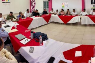 Gobierno de Guerrero fortalece el bienestar y la seguridad en la región de Tierra Caliente