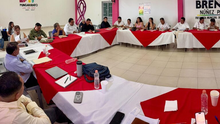 Gobierno de Guerrero fortalece el bienestar y la seguridad en la región de Tierra Caliente