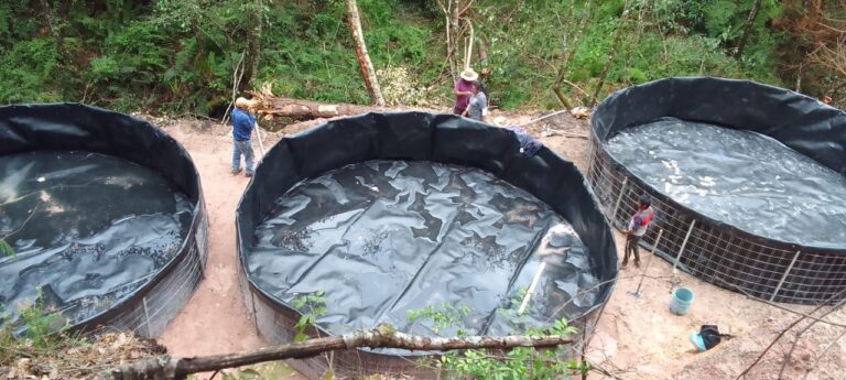 La Sagadegro impulsa la producción de trucha arcoíris en Cochoapa el Grande