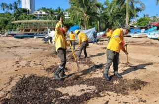 Guerrero destaca a nivel nacional en la conservación de playas