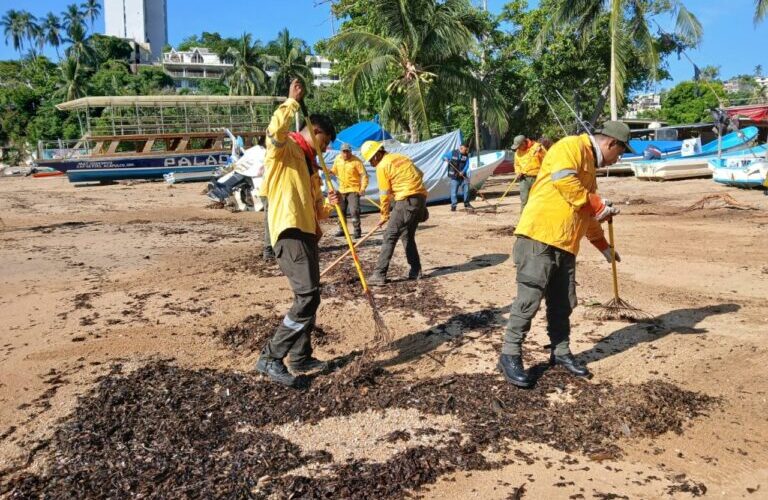 Guerrero destaca a nivel nacional en la conservación de playas