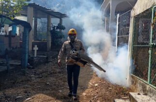 Guerrero reduce a 92% casos de dengue y se posiciona en el 11º lugar nacional