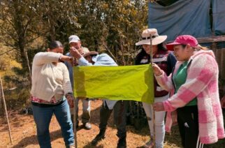 Sagadegro capacita a productores en el uso de trampas para el control de plagas en aguacate