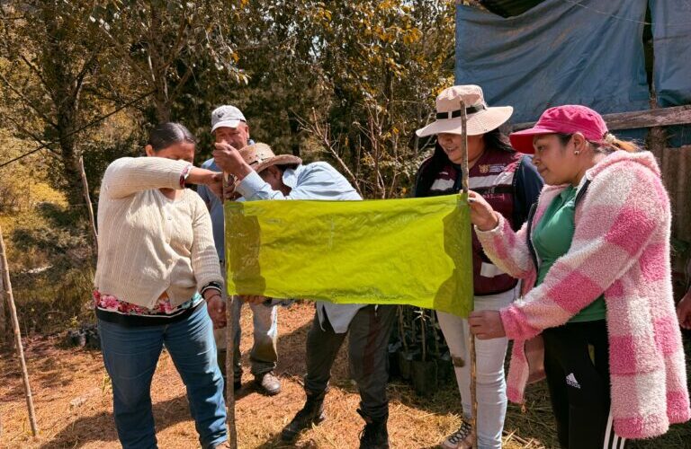 Sagadegro capacita a productores en el uso de trampas para el control de plagas en aguacate