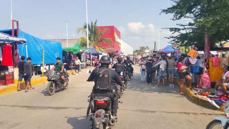 Seguridad y vigilancia en el tianguis de la colonia Emiliano Zapata