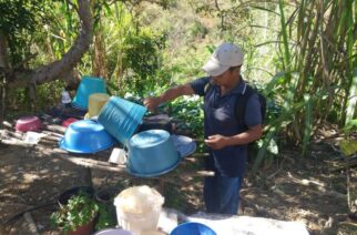 Intensifica la SSG prevención contra el dengue y chikungunya en la región Montaña