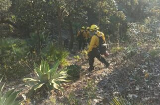Guerrero incrementa el trabajo preventivo en zonas de riesgo de incendios forestales