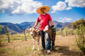 En Guerrero comienzan las primeras nacencias de ganado por inseminación artificial