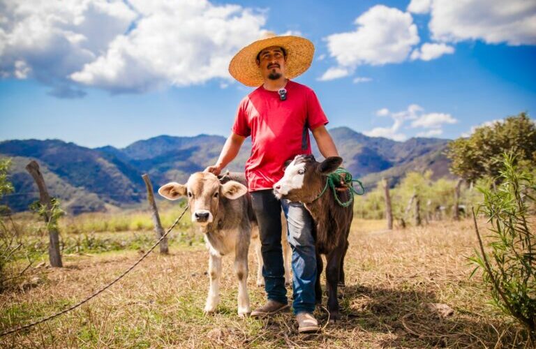 En Guerrero comienzan las primeras nacencias de ganado por inseminación artificial