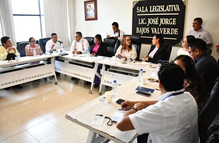 La SEDEPIA participó en reunión sobre reforma electoral para pueblos indígenas y afromexicanos