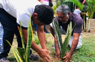 Parque Papagayo prepara megaoperativo de limpieza y reforestación con plantas de ornato